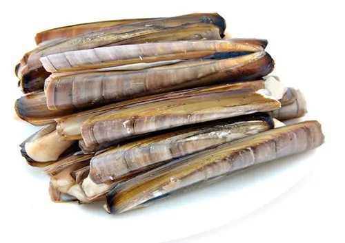 360 F 27802865 x1KApuCetW7YCxkCbodRxzYoaW5IEml1