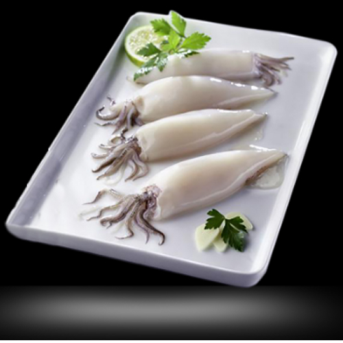 Congelados del Mar Producto 02