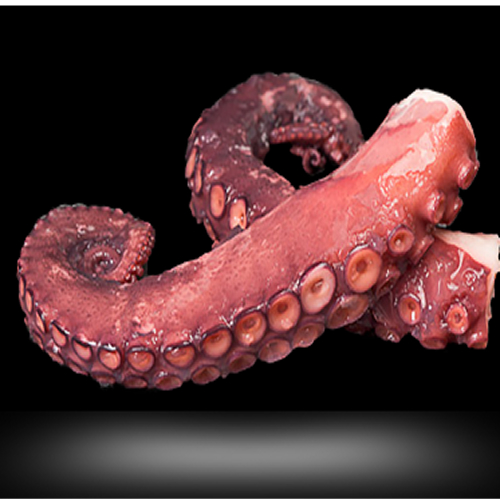 Congelados del Mar Producto 04