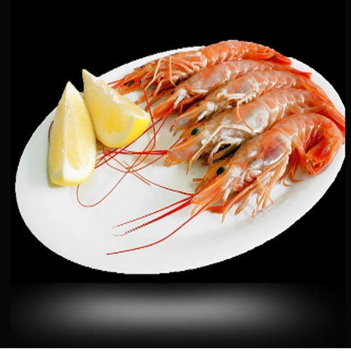 Congelados del Mar Producto 08