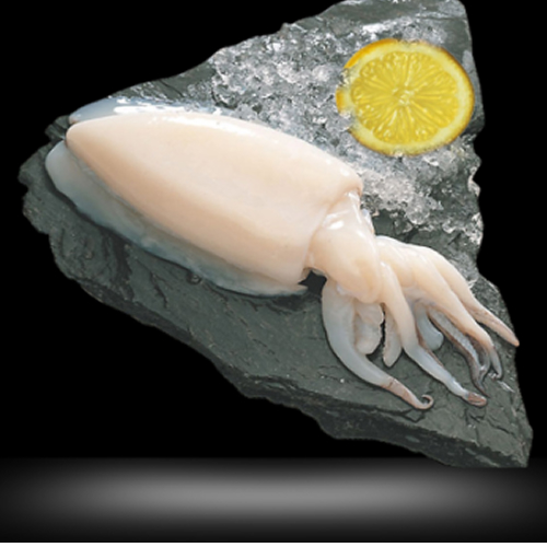 Congelados del Mar Producto 11