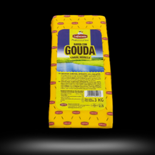 Quesos Fundidos y Preparados Lácteos Producto 03