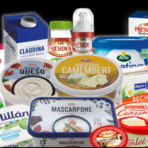 Subcategorías Quesos y derivados lácteos 10